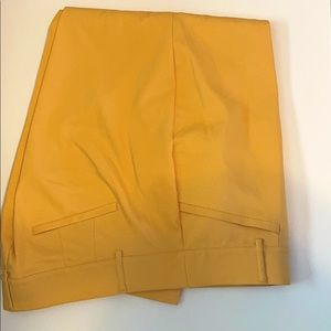 Lane Bryant Allie Slack in Size 18